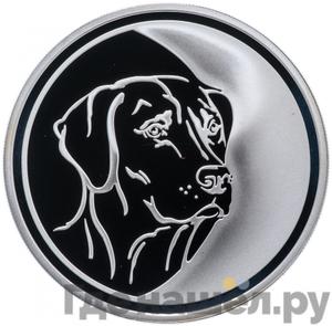 Каталог монет Юбилейные 92-19