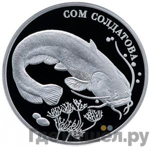 Каталог монет Юбилейные 92-19