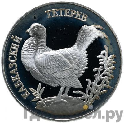 Каталог монет Юбилейные 92-19