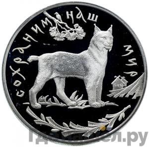 Каталог монет Юбилейные 92-19