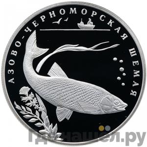 Каталог монет Юбилейные 92-19