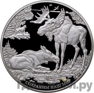 Каталог монет Юбилейные 92-19