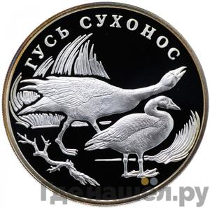 Каталог монет Юбилейные 92-19