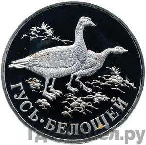 Каталог монет Юбилейные 92-19