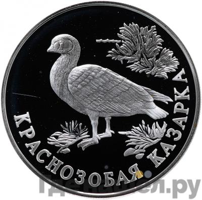 Каталог монет Юбилейные 92-19