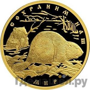 Каталог монет Юбилейные 92-19