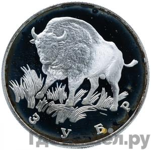 Каталог монет Юбилейные 92-19