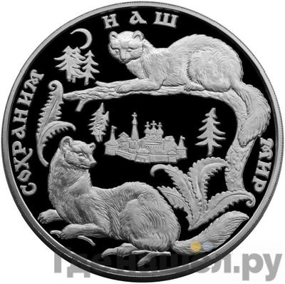 Аверс 100 рублей 1996 года ММД Сохраним наш мир Соболь