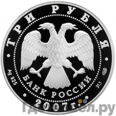 Реверс 3 рубля 2007 года СПМД Международный полярный год