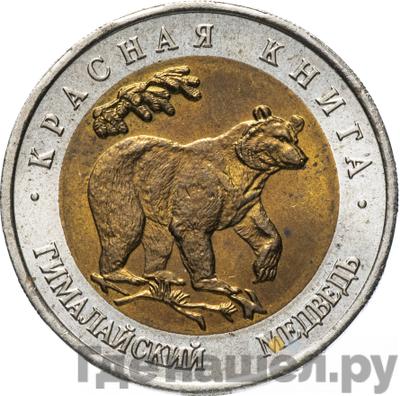 Аверс 50 рублей 1993 года ЛМД Красная книга Гималайский медведь