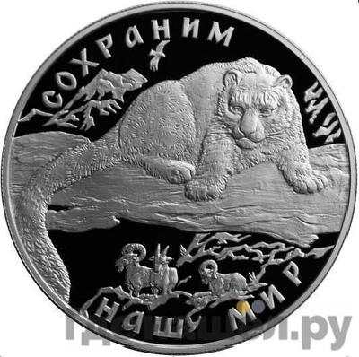 Аверс 25 рублей 2000 года ММД Сохраним наш мир снежный барс