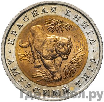 Аверс 10 рублей 1992 года ЛМД Красная книга Амурский тигр