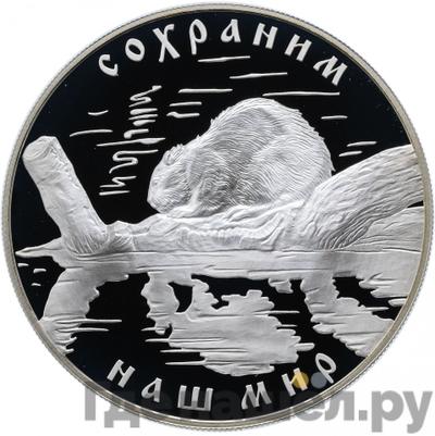 Аверс 25 рублей 2008 года СПМД Сохраним наш мир речной бобр