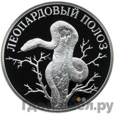 Аверс 1 рубль 2000 года СПМД Красная книга - Леопардовый полоз