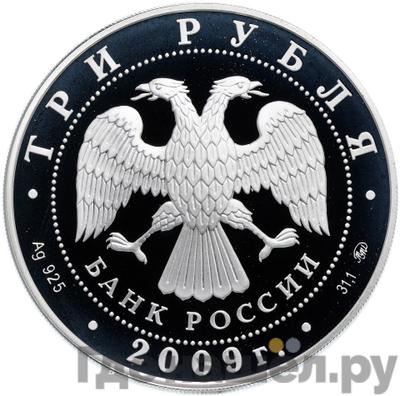 Реверс 3 рубля 2009 года ММД Лунный календарь бык