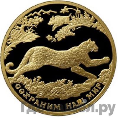 Аверс 200 рублей 2011 года ММД Сохраним наш мир переднеазиатский леопард