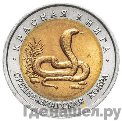 Аверс 10 рублей 1992 года ЛМД Красная книга Среднеазиатская кобра