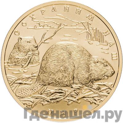 Аверс 100 рублей 2008 года СПМД