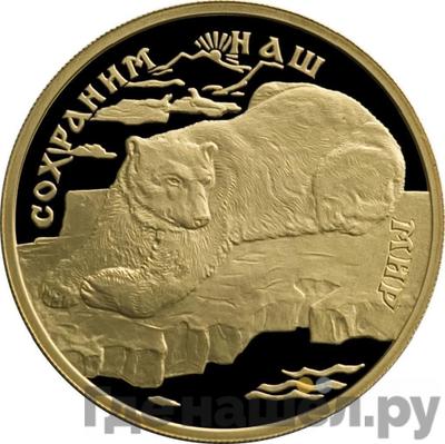 Аверс 100 рублей 1997 года ЛМД Золото Сохраним наш мир полярный медведь