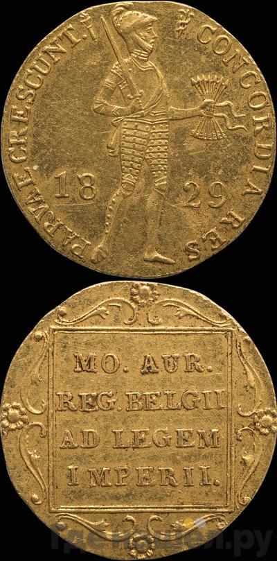 Дукат 1829 года  Нидерландская имитация