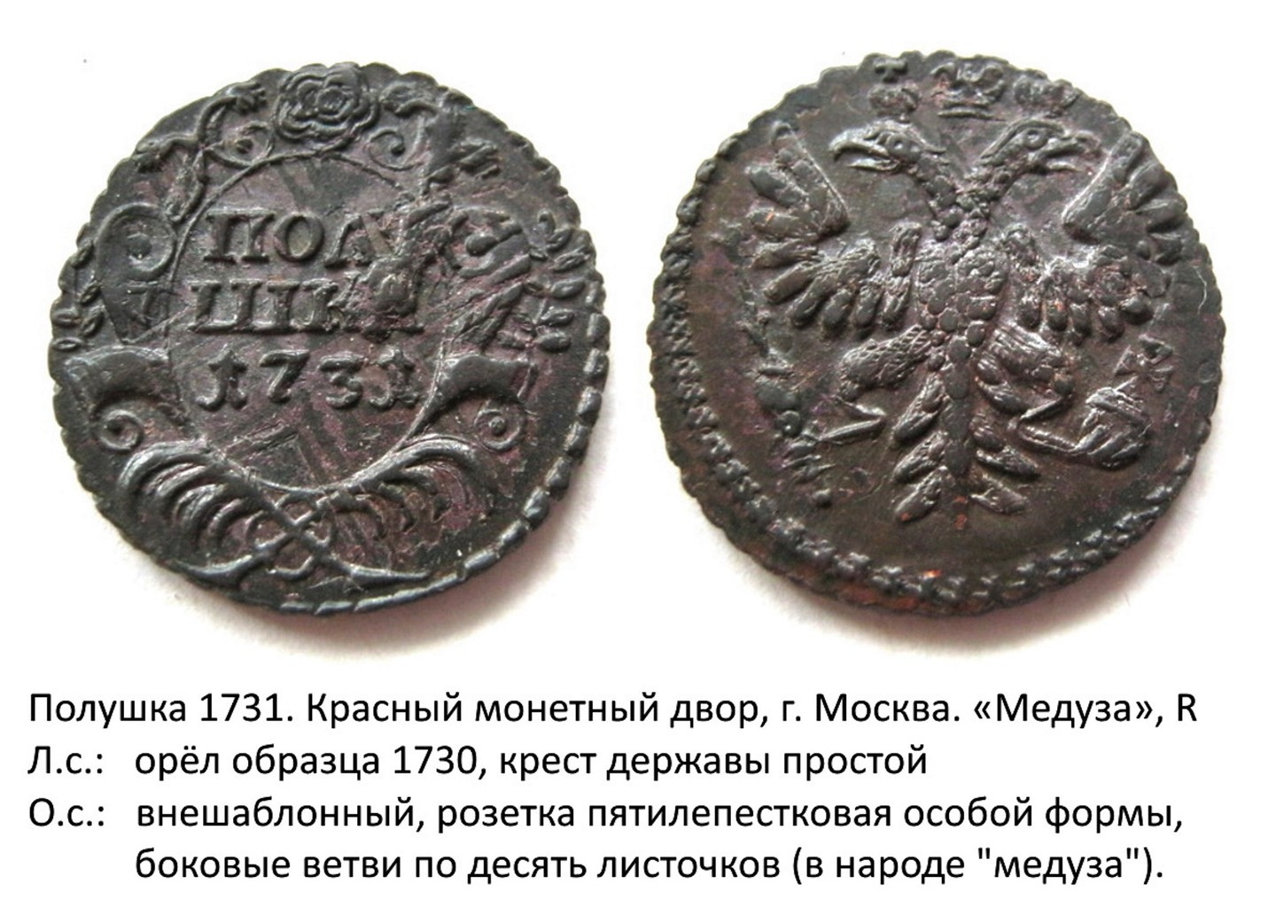 Полушка 1731 года