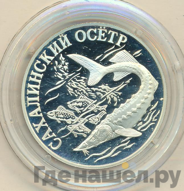 1 рубль 2001 года СПМД Красная книга - Сахалинский осётр