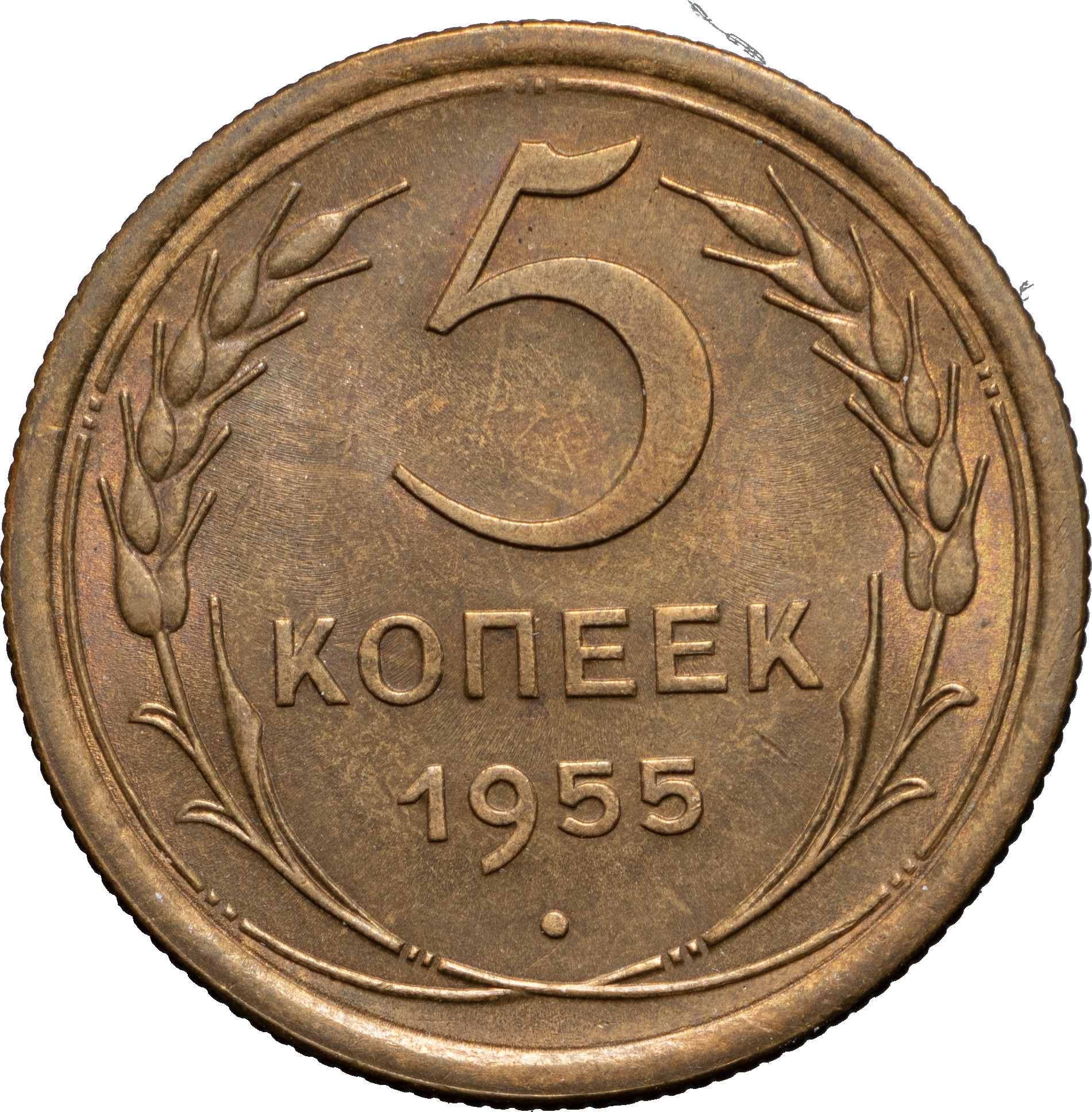 5 копеек 1955 года