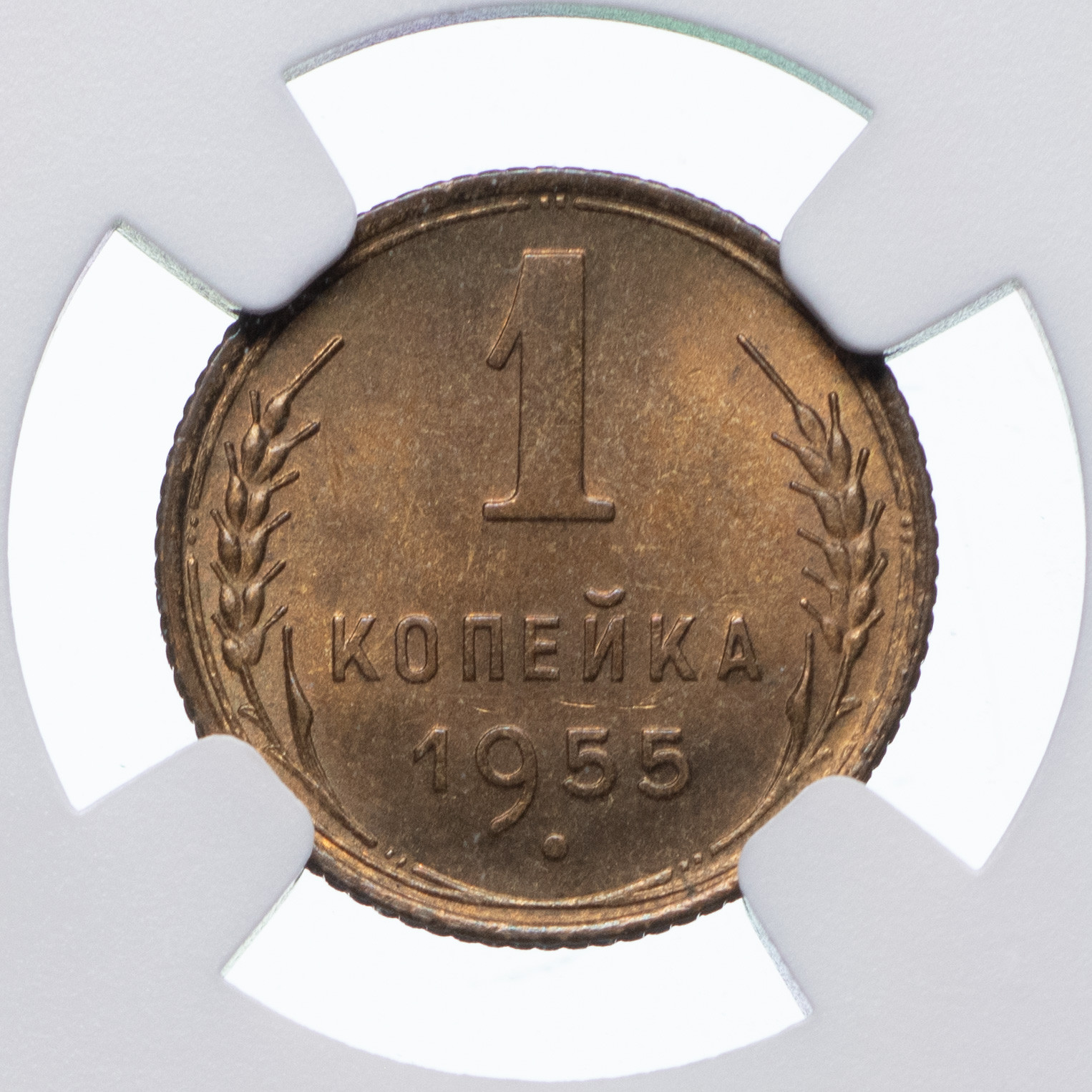 1 копейка 1955 года