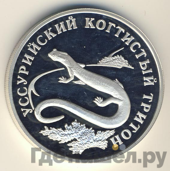 1 рубль 2006 года СПМД Красная книга - Уссурийский когтистый тритон