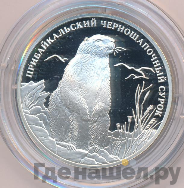2 рубля 2008 года СПМД Красная книга - Прибайкальский черношапочный сурок