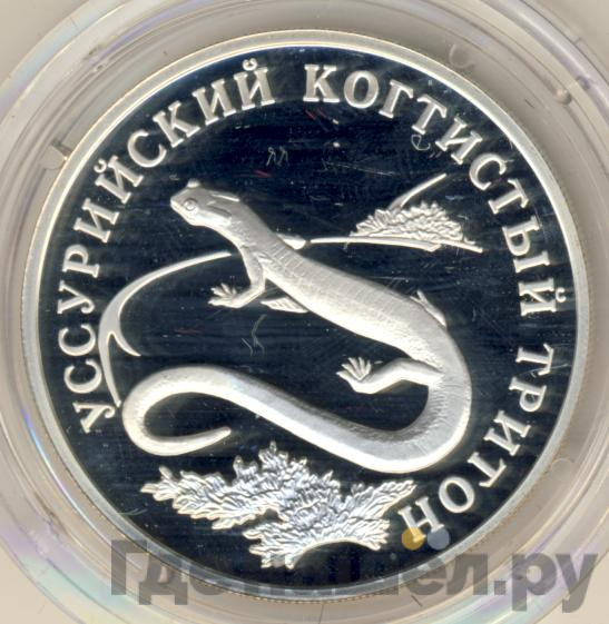 1 рубль 2006 года СПМД Красная книга - Уссурийский когтистый тритон