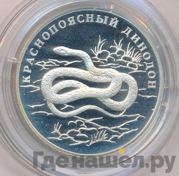 1 рубль 2007 года СПМД Красная книга - Краснопоясный динодон