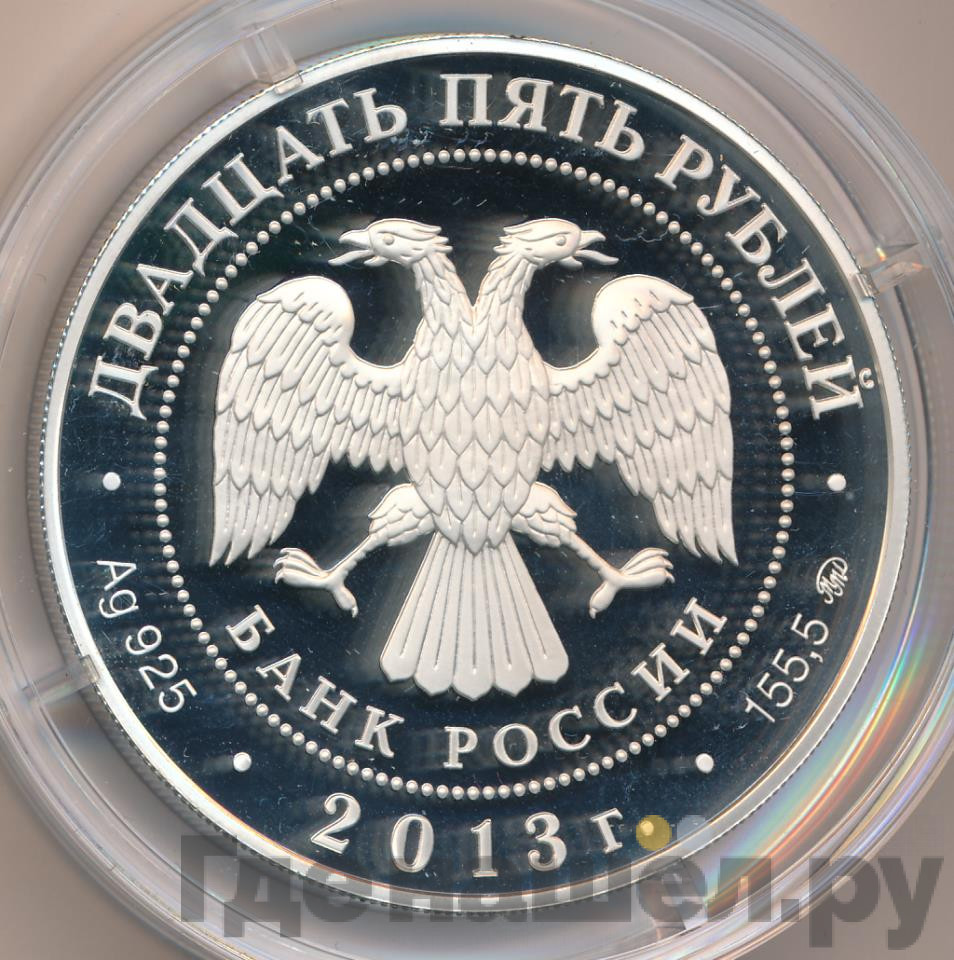 25 рублей 2013 года ММД 20-летие принятия Конституции Российской Федерации