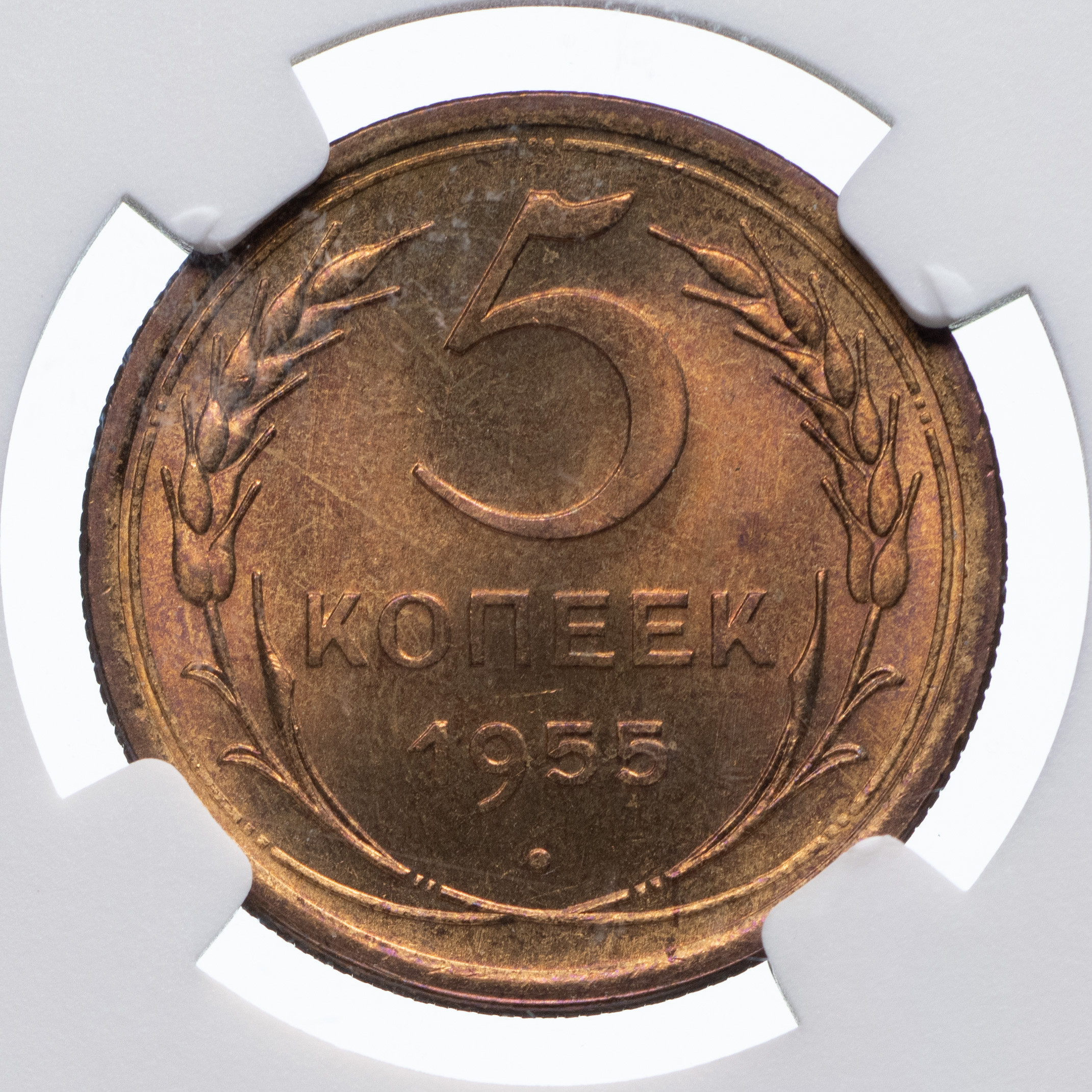 5 копеек 1955 года