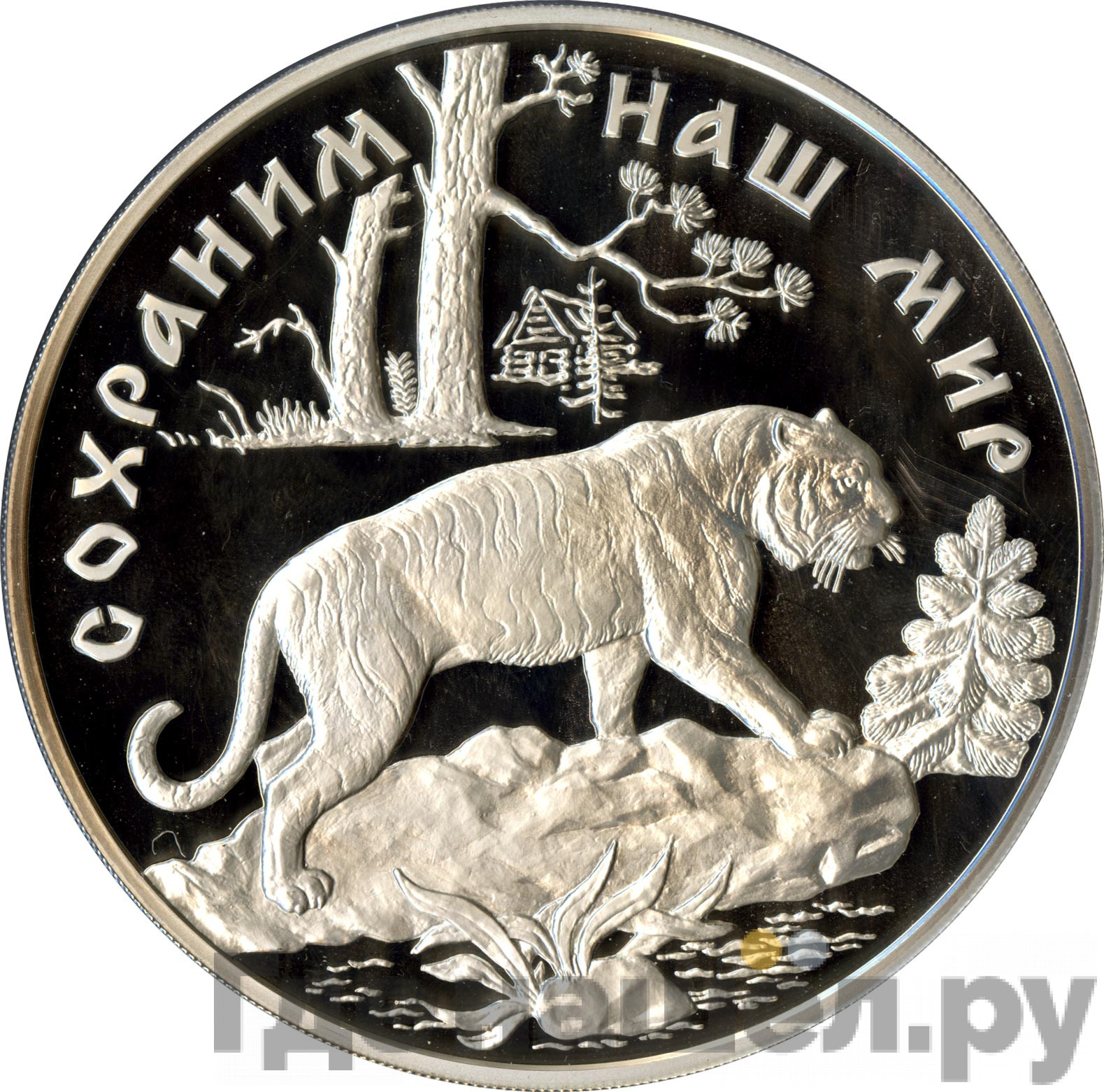 100 рублей 1996 года ЛМД Серебро Сохраним наш мир Амурский тигр
