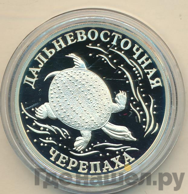 1 рубль 2003 года СПМД Красная книга - Дальневосточная черепаха